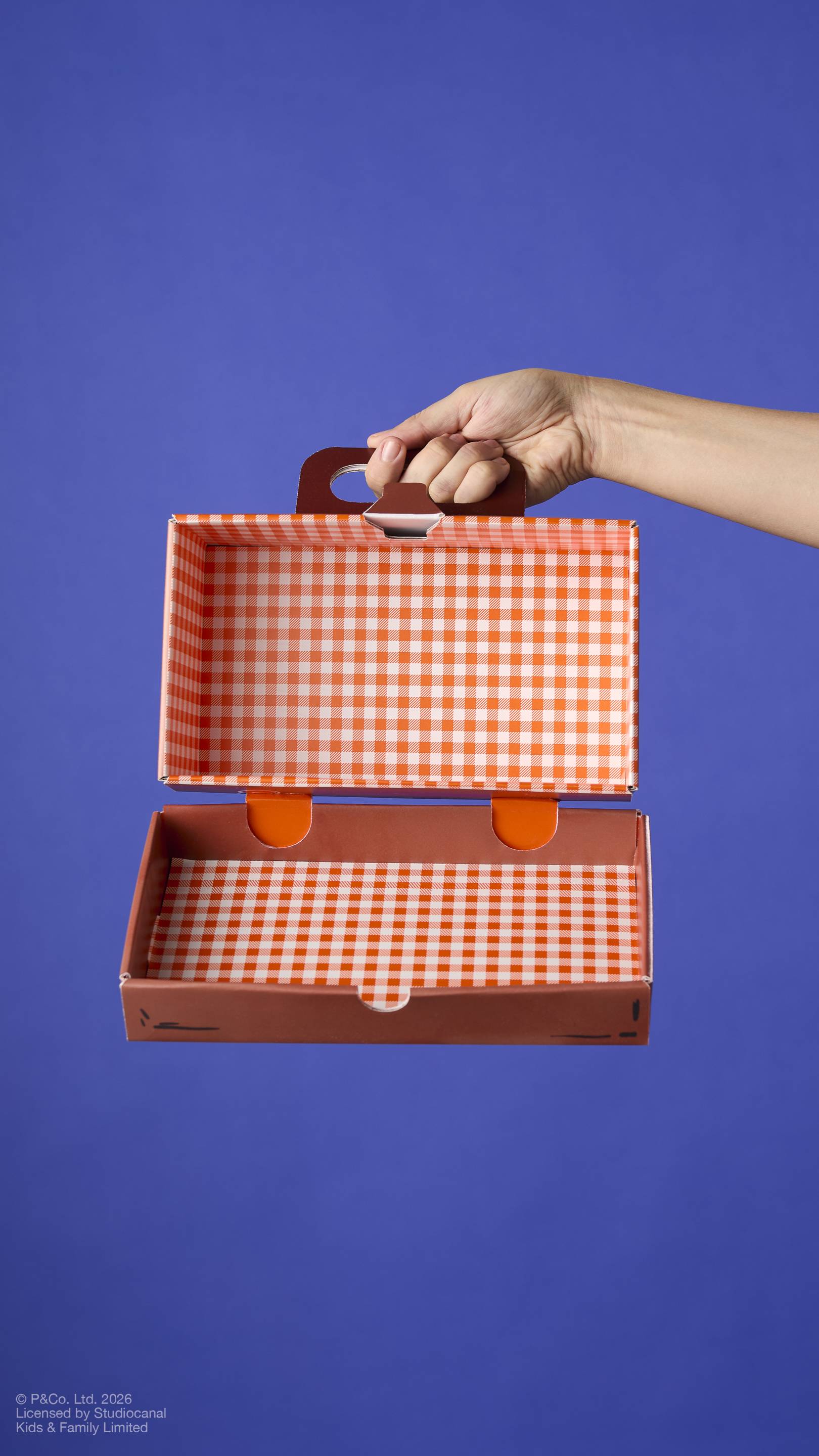 Lush Suitcase — Box - Image 5