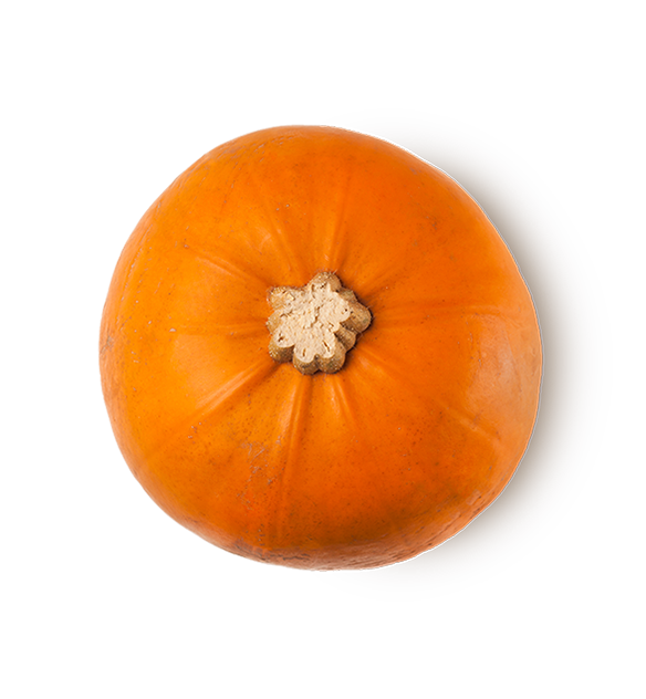 Lush Pumpkin Spice — Soap — SKU 64576-NA-DNU - Image 4
