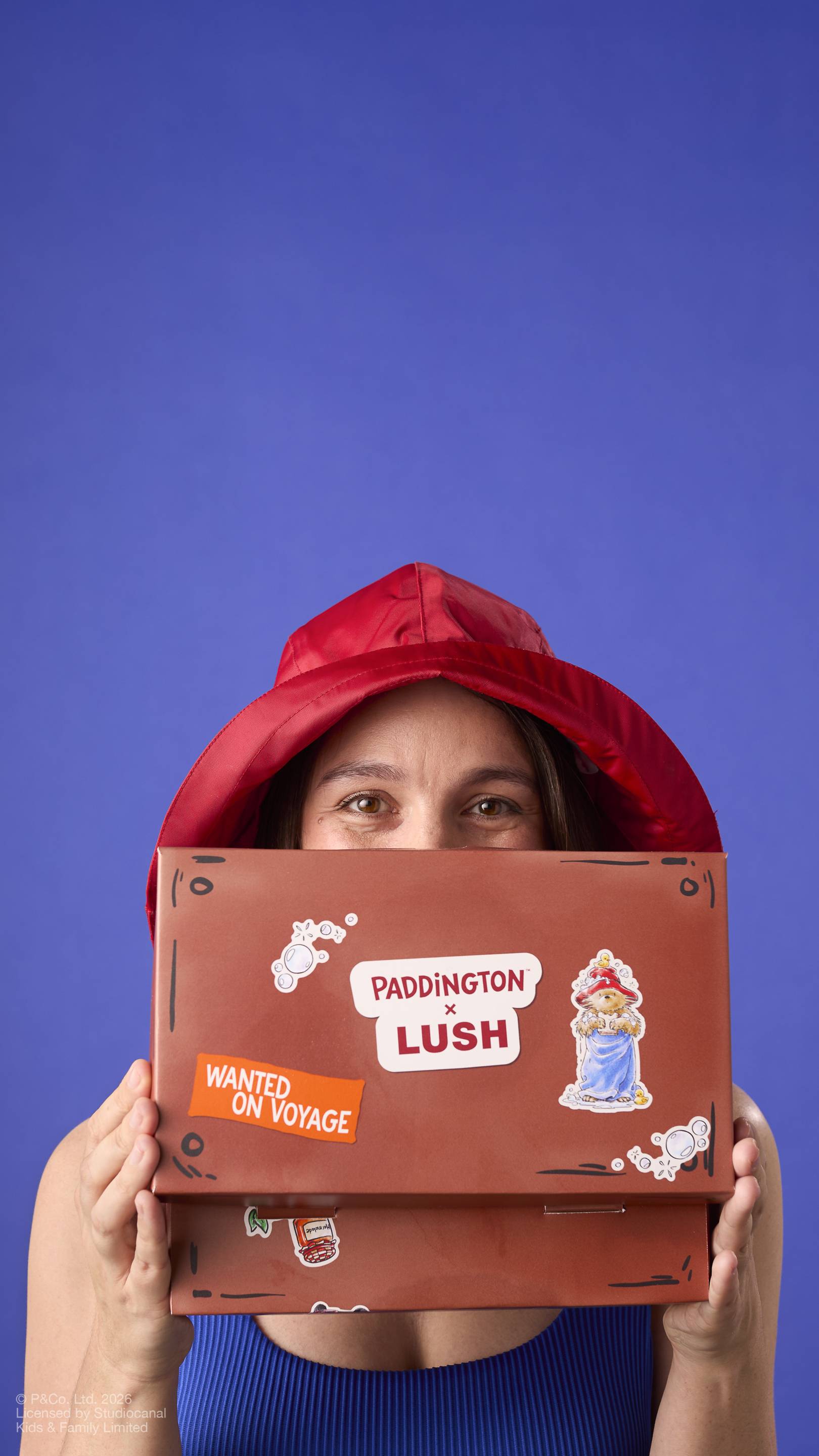 Lush Suitcase — Box - Image 4