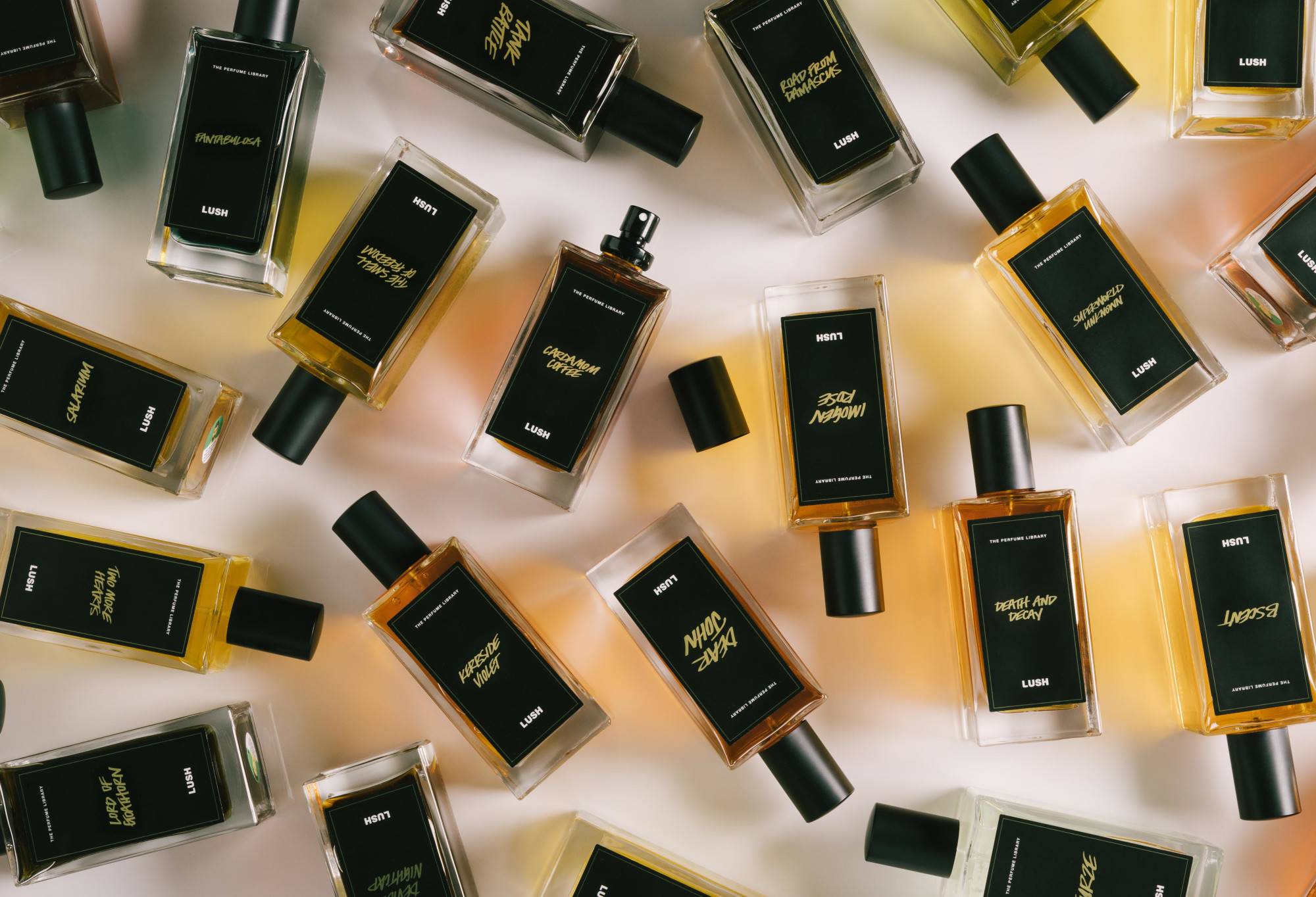 Lush Cardamom Coffee — Perfume - Image 2