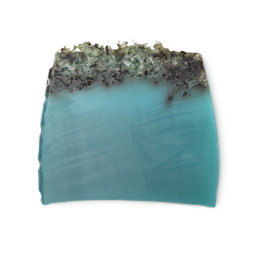 Lush Sea Vegetable — Soap