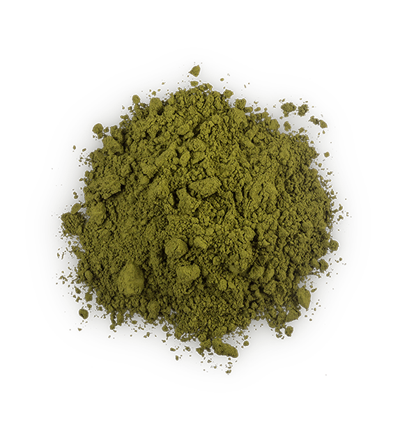 Lush Brun — Butter - Image 7