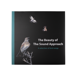 Lush The Beauty of the Sound Approach — Vinyl
