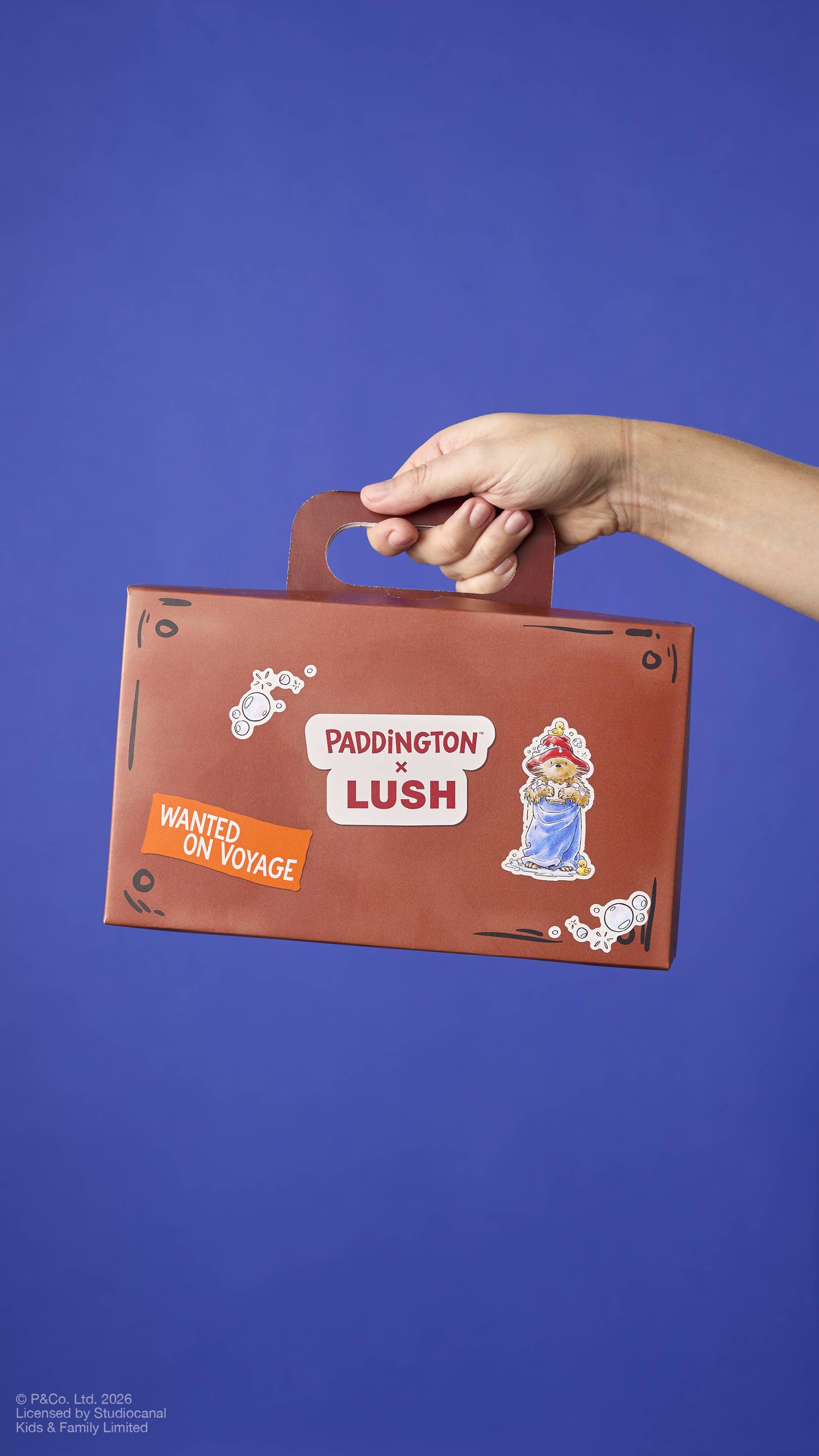 Lush Suitcase — Box - Image 3