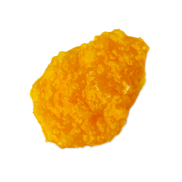 Lush Ginger — Shampoo