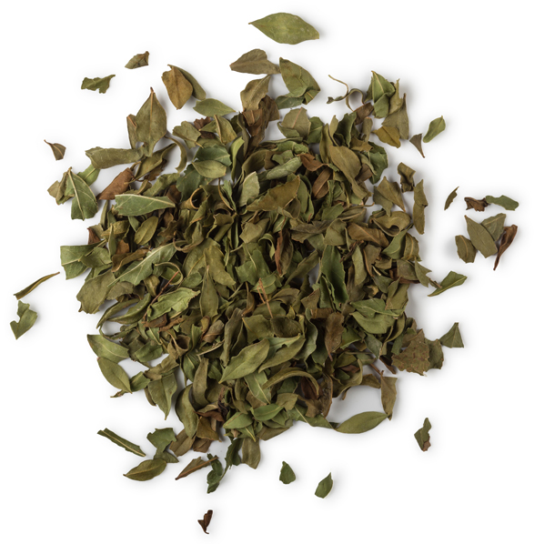 Lush Brun — Butter - Image 8