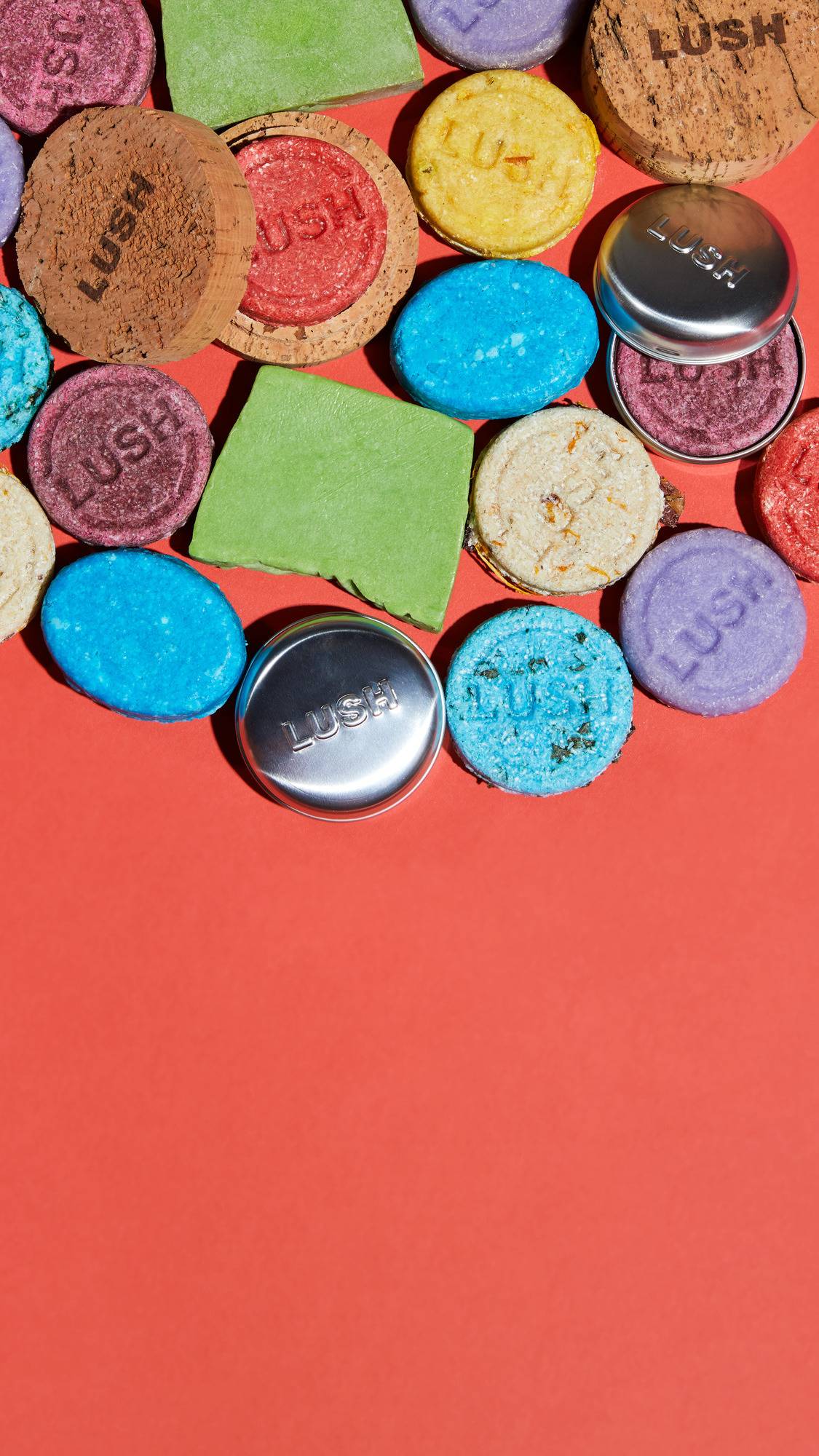 Lush Round Tin — Shampoo - Image 3