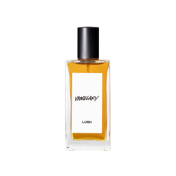 Fragrance & Perfumes