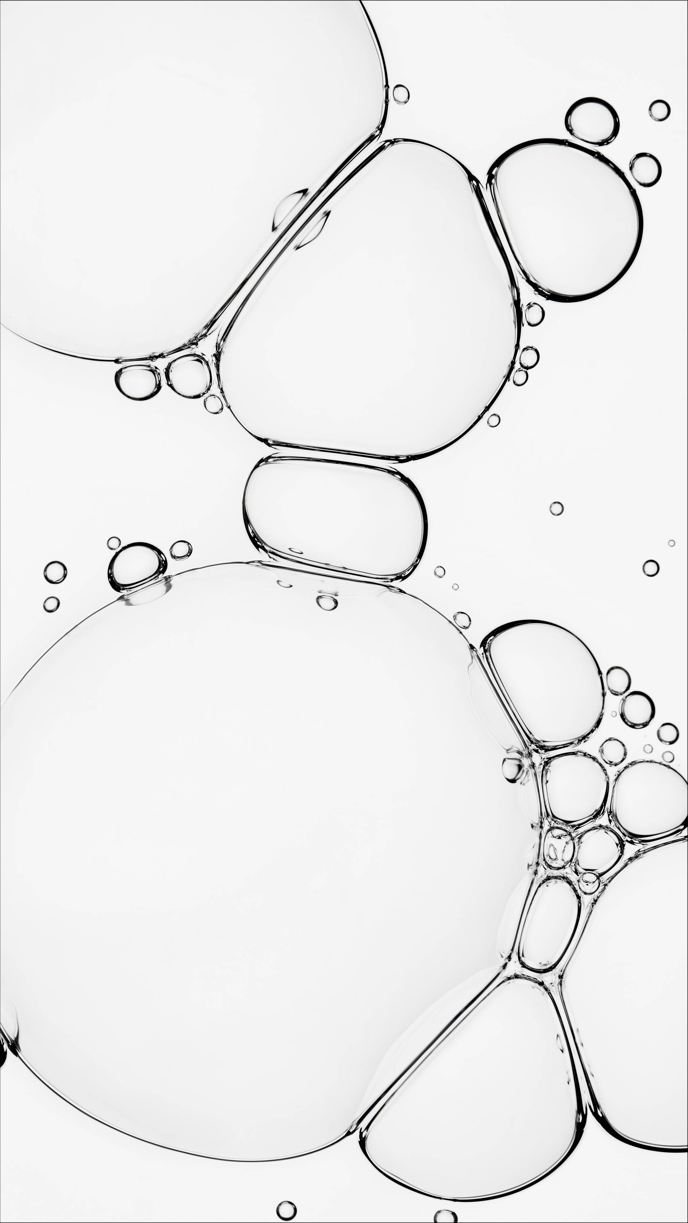 Lush Tea Tree Water - Image 4