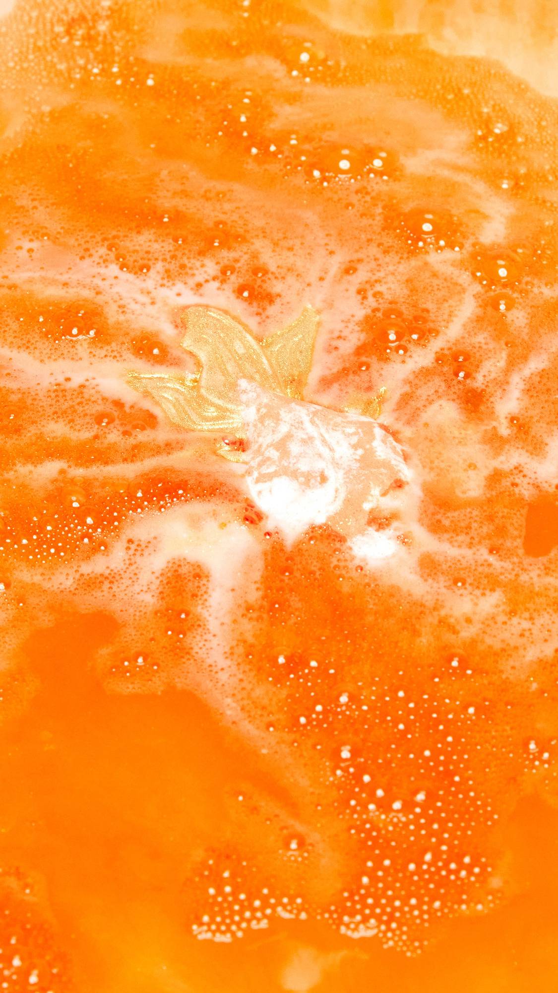 Lush Goldfish — Bomb - Image 6