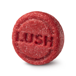 Lush New — Shampoo